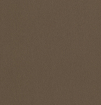 Brushed Bronze (NIEUW)